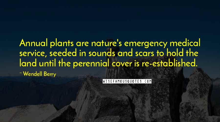 Wendell Berry Quotes: Annual plants are nature's emergency medical service, seeded in sounds and scars to hold the land until the perennial cover is re-established.