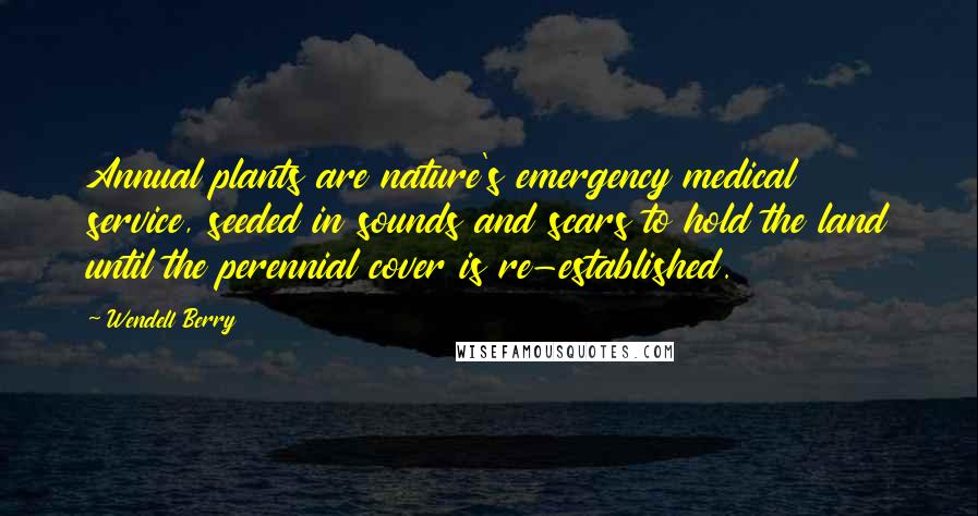 Wendell Berry Quotes: Annual plants are nature's emergency medical service, seeded in sounds and scars to hold the land until the perennial cover is re-established.