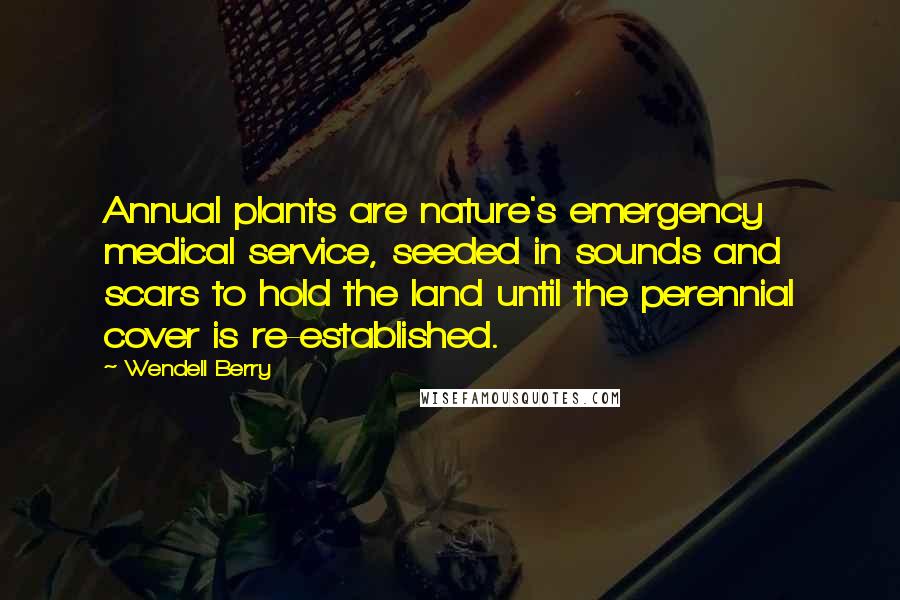 Wendell Berry Quotes: Annual plants are nature's emergency medical service, seeded in sounds and scars to hold the land until the perennial cover is re-established.