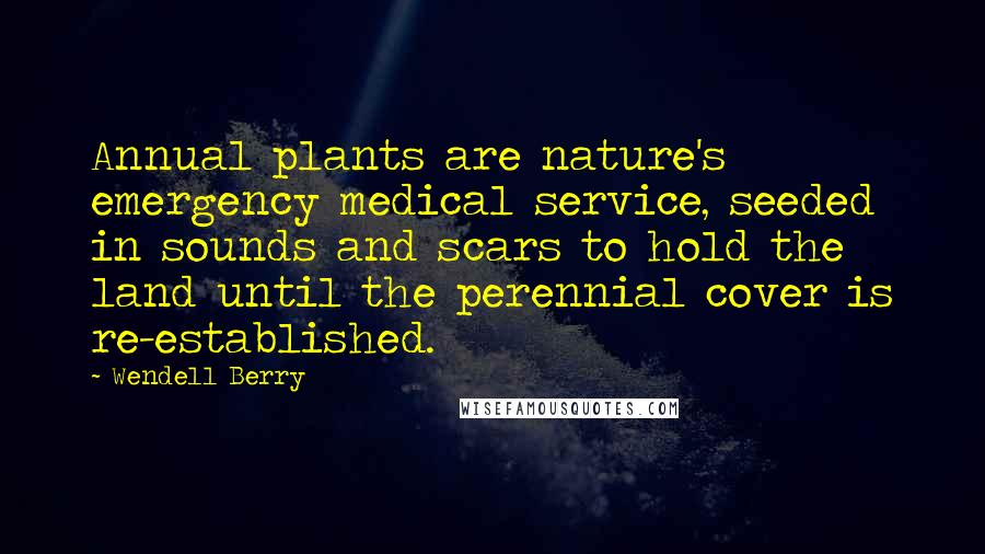 Wendell Berry Quotes: Annual plants are nature's emergency medical service, seeded in sounds and scars to hold the land until the perennial cover is re-established.