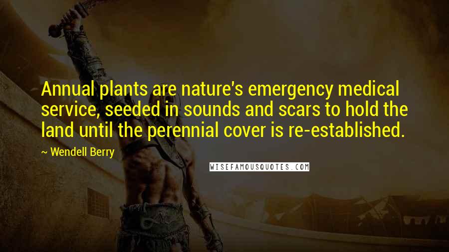 Wendell Berry Quotes: Annual plants are nature's emergency medical service, seeded in sounds and scars to hold the land until the perennial cover is re-established.