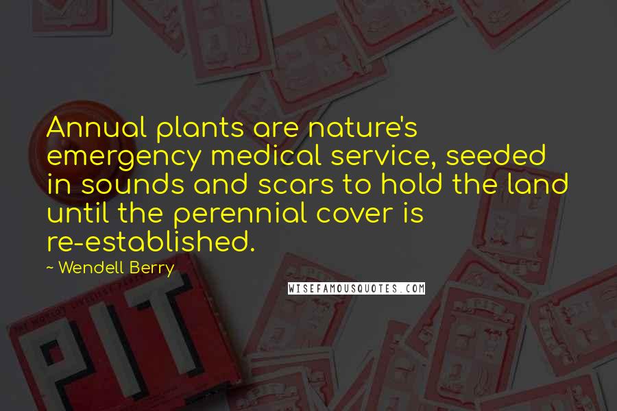 Wendell Berry Quotes: Annual plants are nature's emergency medical service, seeded in sounds and scars to hold the land until the perennial cover is re-established.
