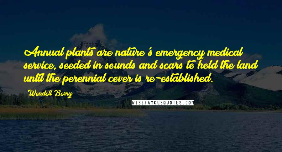 Wendell Berry Quotes: Annual plants are nature's emergency medical service, seeded in sounds and scars to hold the land until the perennial cover is re-established.