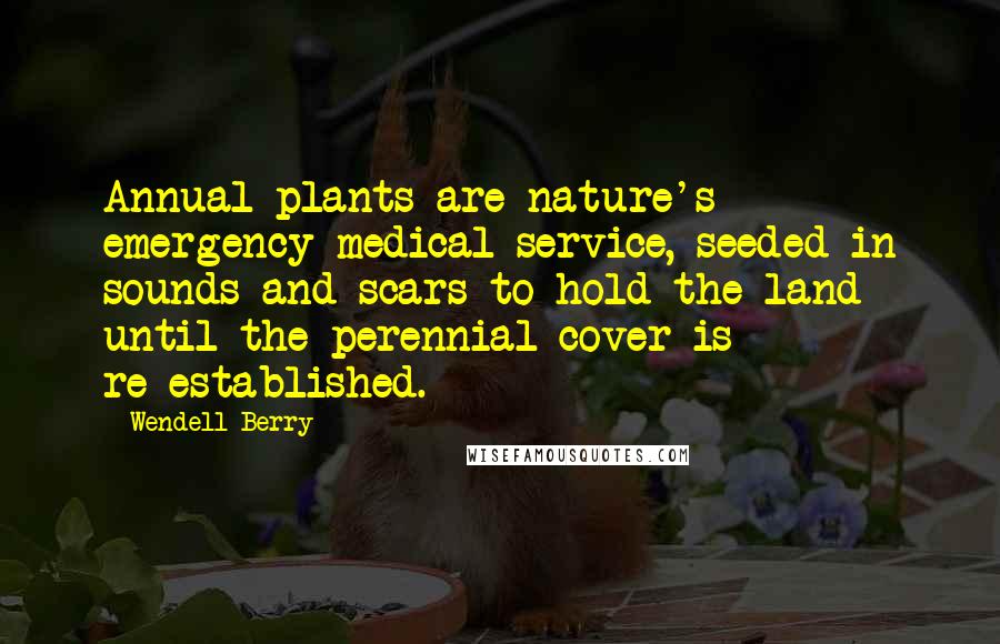 Wendell Berry Quotes: Annual plants are nature's emergency medical service, seeded in sounds and scars to hold the land until the perennial cover is re-established.