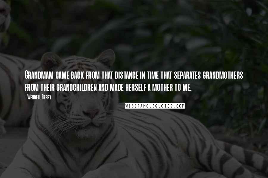 Wendell Berry Quotes: Grandmam came back from that distance in time that separates grandmothers from their grandchildren and made herself a mother to me.