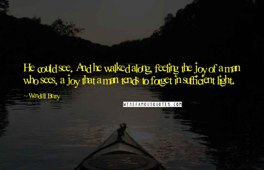 Wendell Berry Quotes: He could see. And he walked along, feeling the joy of a man who sees, a joy that a man tends to forget in sufficient light.
