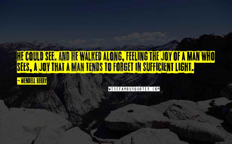 Wendell Berry Quotes: He could see. And he walked along, feeling the joy of a man who sees, a joy that a man tends to forget in sufficient light.