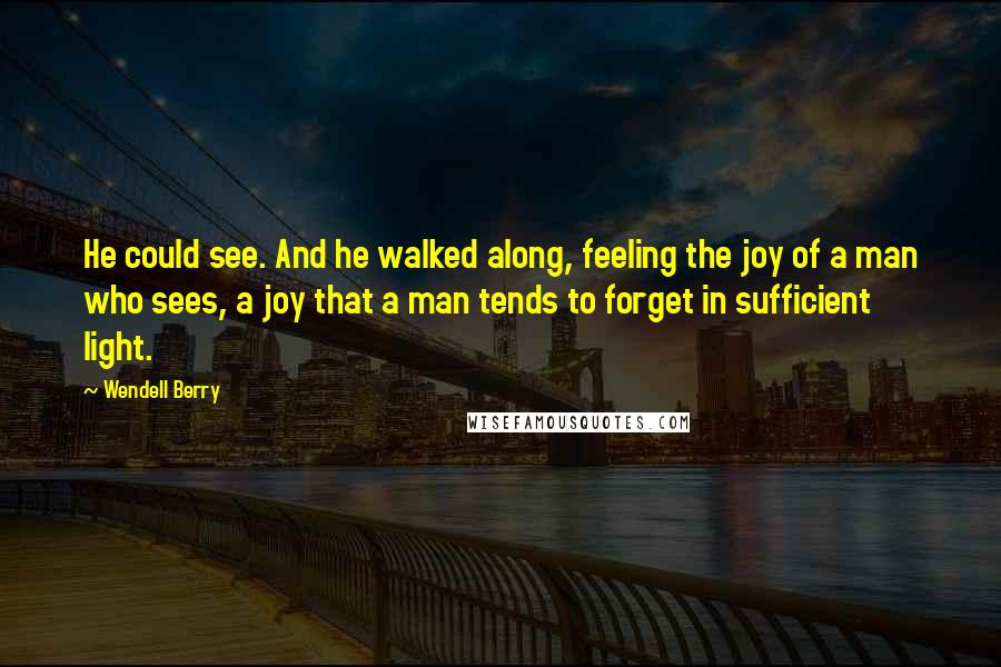 Wendell Berry Quotes: He could see. And he walked along, feeling the joy of a man who sees, a joy that a man tends to forget in sufficient light.
