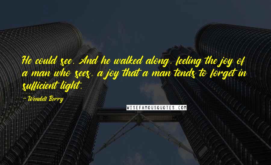 Wendell Berry Quotes: He could see. And he walked along, feeling the joy of a man who sees, a joy that a man tends to forget in sufficient light.