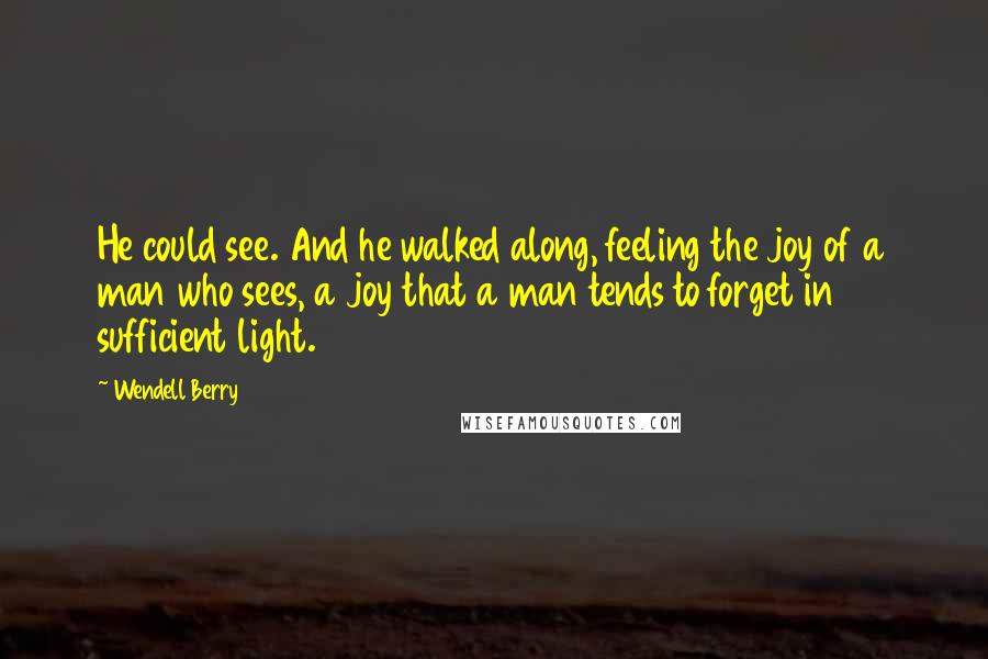 Wendell Berry Quotes: He could see. And he walked along, feeling the joy of a man who sees, a joy that a man tends to forget in sufficient light.
