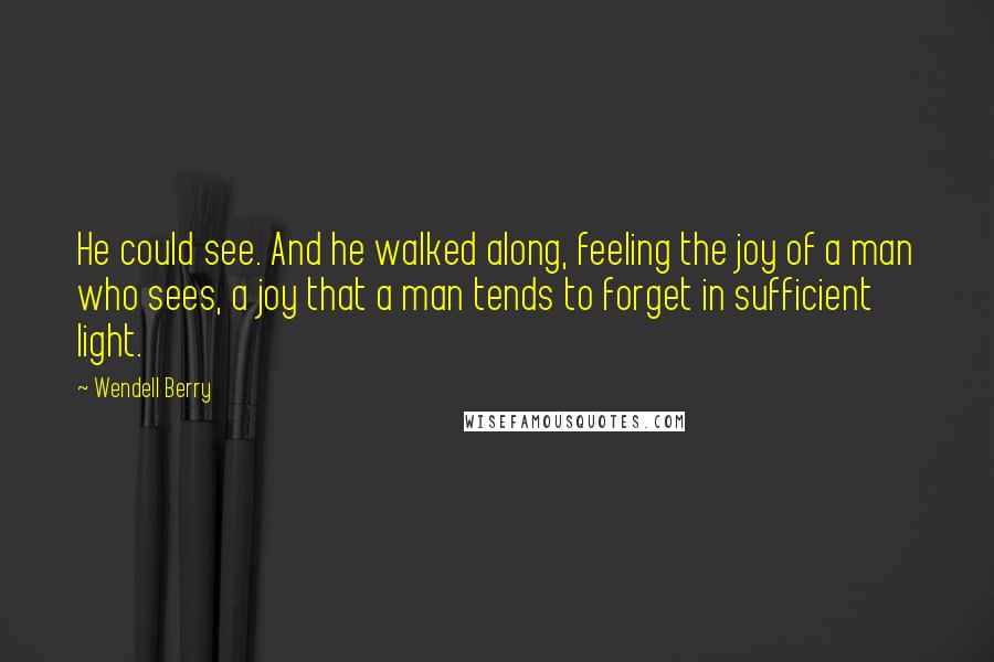 Wendell Berry Quotes: He could see. And he walked along, feeling the joy of a man who sees, a joy that a man tends to forget in sufficient light.