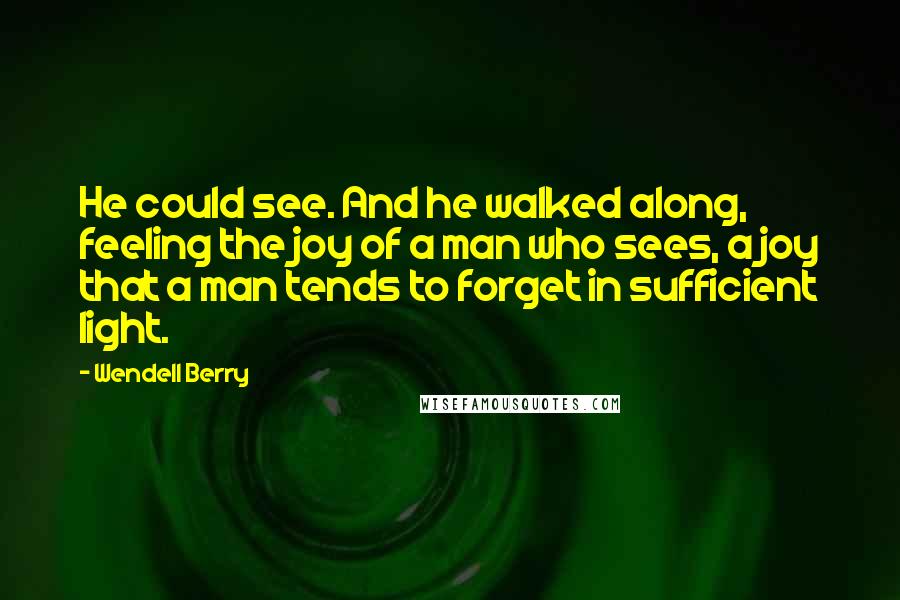 Wendell Berry Quotes: He could see. And he walked along, feeling the joy of a man who sees, a joy that a man tends to forget in sufficient light.
