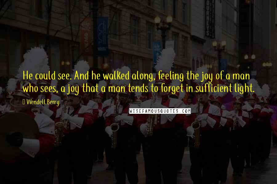 Wendell Berry Quotes: He could see. And he walked along, feeling the joy of a man who sees, a joy that a man tends to forget in sufficient light.