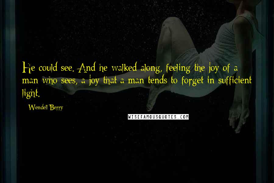 Wendell Berry Quotes: He could see. And he walked along, feeling the joy of a man who sees, a joy that a man tends to forget in sufficient light.
