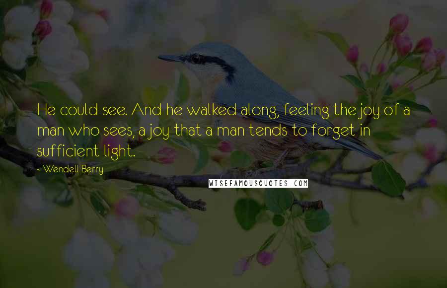 Wendell Berry Quotes: He could see. And he walked along, feeling the joy of a man who sees, a joy that a man tends to forget in sufficient light.