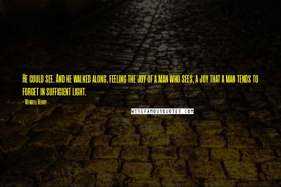 Wendell Berry Quotes: He could see. And he walked along, feeling the joy of a man who sees, a joy that a man tends to forget in sufficient light.