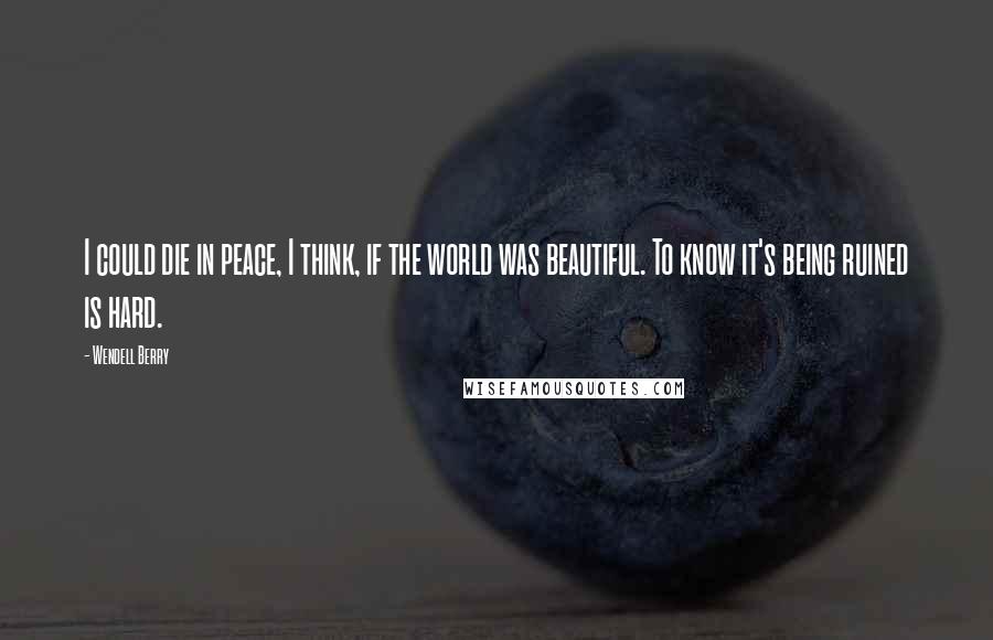 Wendell Berry Quotes: I could die in peace, I think, if the world was beautiful. To know it's being ruined is hard.