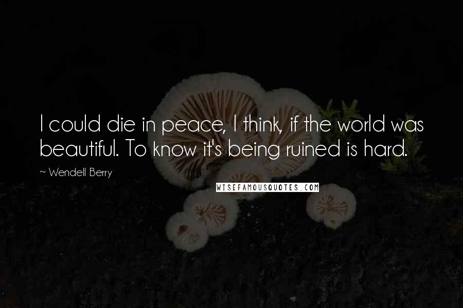 Wendell Berry Quotes: I could die in peace, I think, if the world was beautiful. To know it's being ruined is hard.