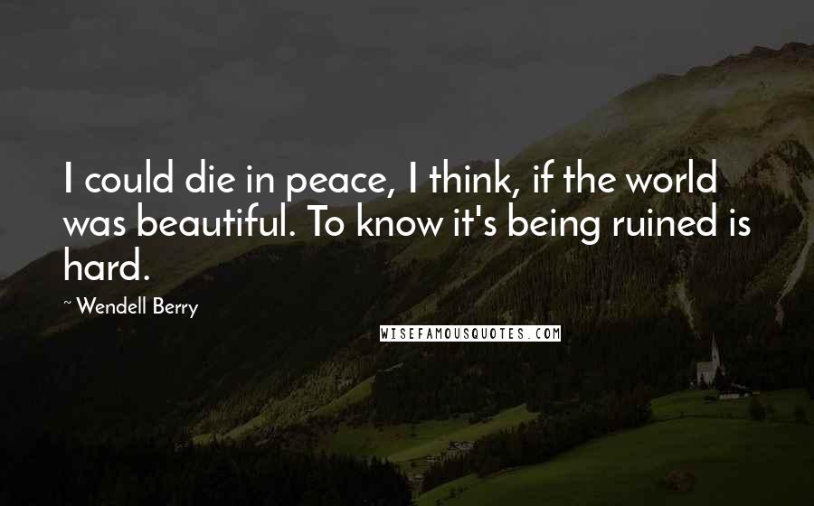 Wendell Berry Quotes: I could die in peace, I think, if the world was beautiful. To know it's being ruined is hard.