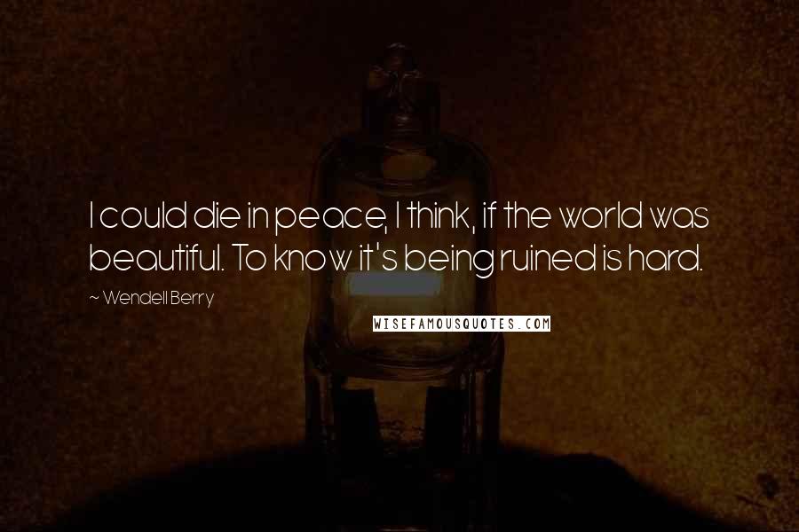 Wendell Berry Quotes: I could die in peace, I think, if the world was beautiful. To know it's being ruined is hard.