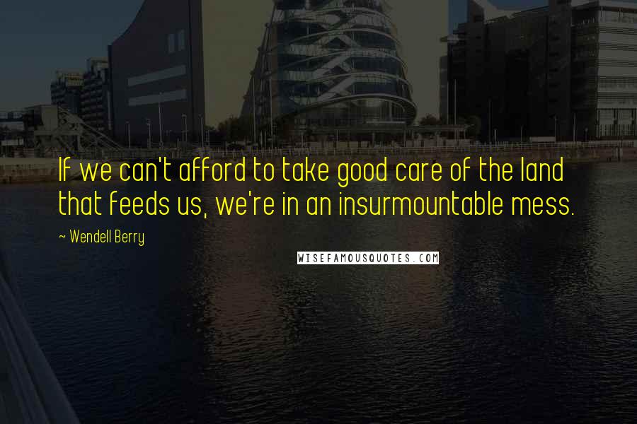 Wendell Berry Quotes: If we can't afford to take good care of the land that feeds us, we're in an insurmountable mess.