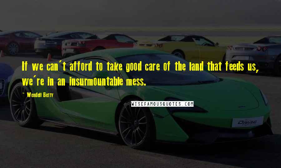 Wendell Berry Quotes: If we can't afford to take good care of the land that feeds us, we're in an insurmountable mess.