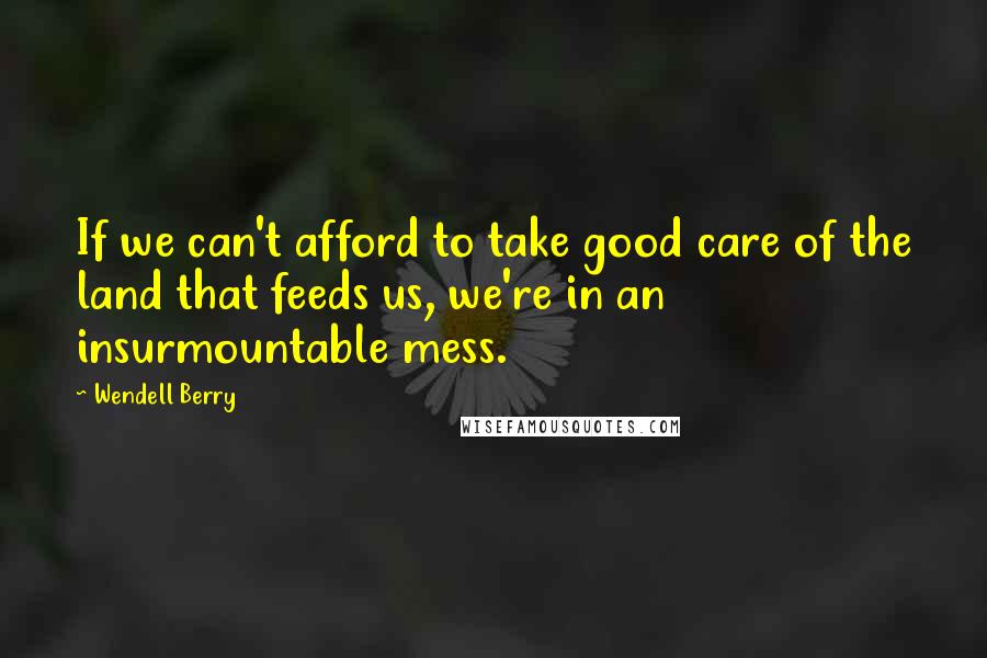 Wendell Berry Quotes: If we can't afford to take good care of the land that feeds us, we're in an insurmountable mess.