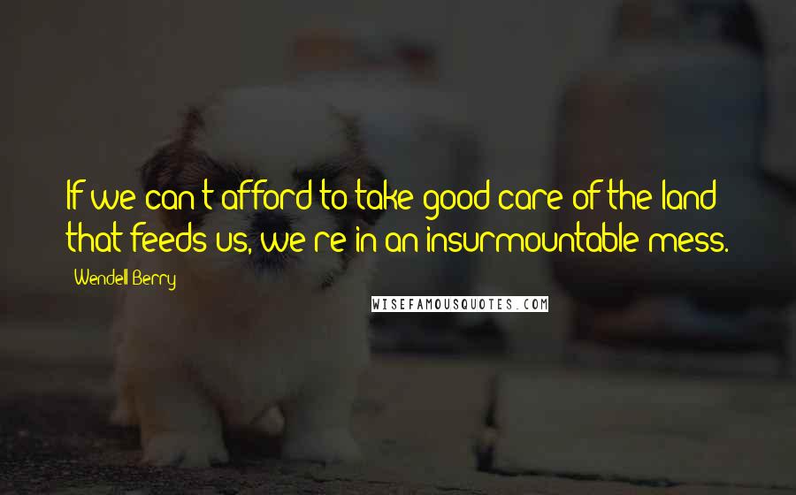 Wendell Berry Quotes: If we can't afford to take good care of the land that feeds us, we're in an insurmountable mess.