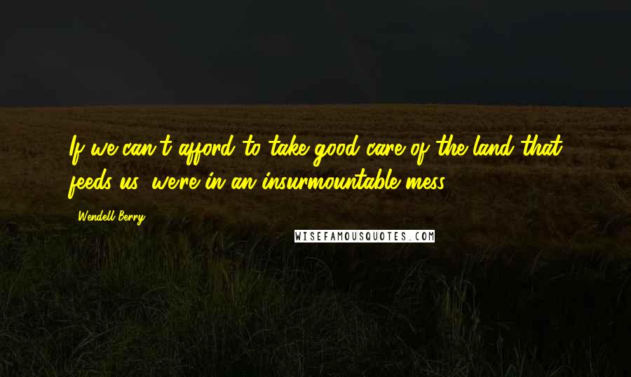 Wendell Berry Quotes: If we can't afford to take good care of the land that feeds us, we're in an insurmountable mess.