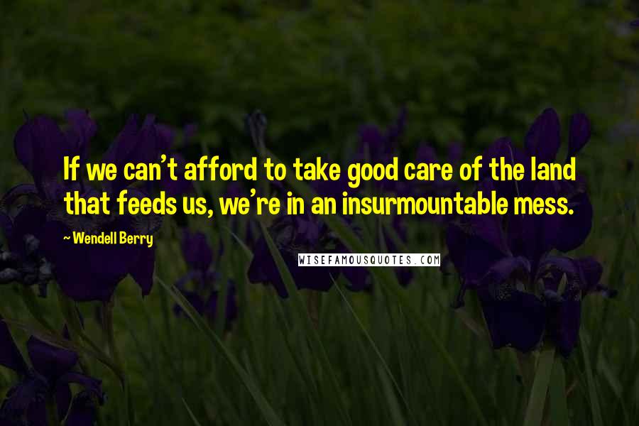 Wendell Berry Quotes: If we can't afford to take good care of the land that feeds us, we're in an insurmountable mess.