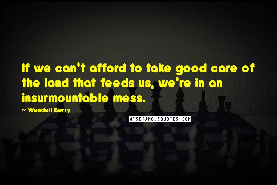 Wendell Berry Quotes: If we can't afford to take good care of the land that feeds us, we're in an insurmountable mess.