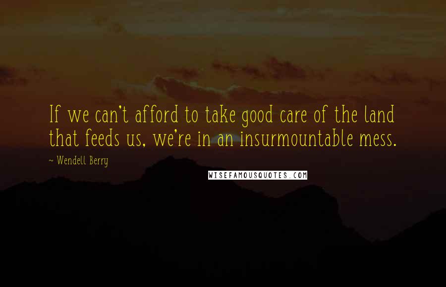 Wendell Berry Quotes: If we can't afford to take good care of the land that feeds us, we're in an insurmountable mess.