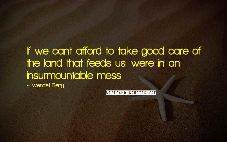 Wendell Berry Quotes: If we can't afford to take good care of the land that feeds us, we're in an insurmountable mess.