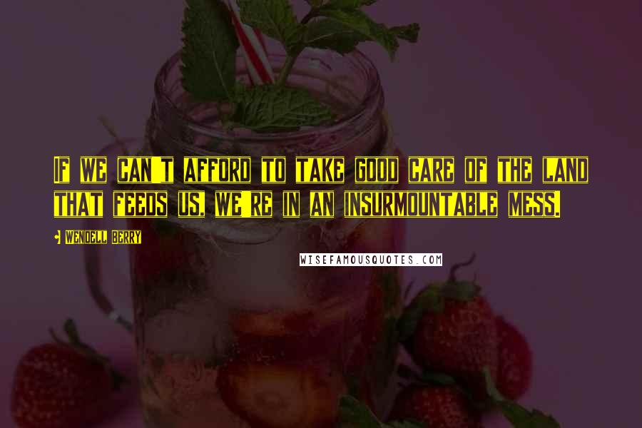 Wendell Berry Quotes: If we can't afford to take good care of the land that feeds us, we're in an insurmountable mess.