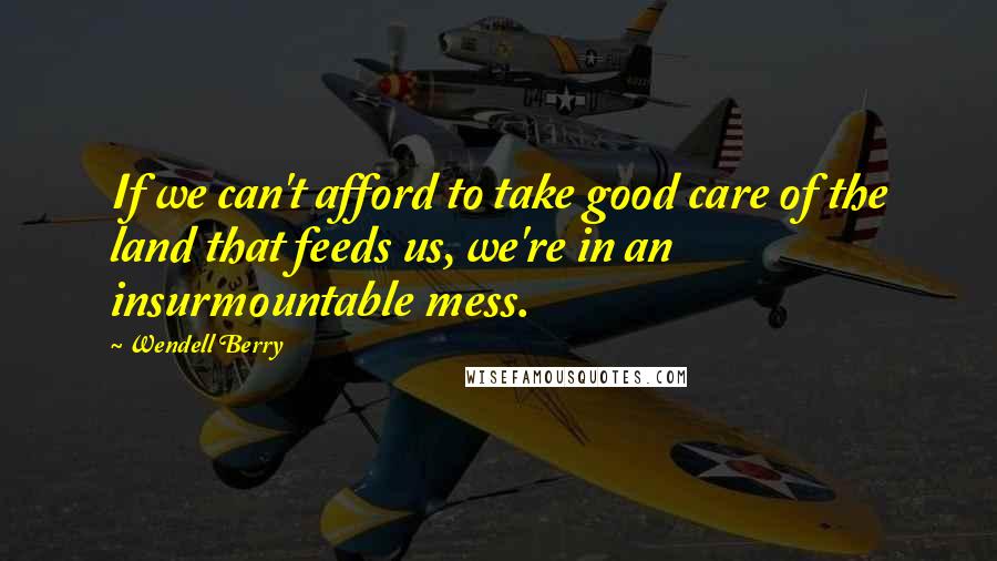 Wendell Berry Quotes: If we can't afford to take good care of the land that feeds us, we're in an insurmountable mess.