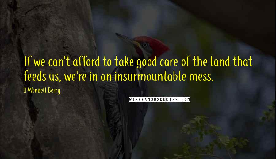 Wendell Berry Quotes: If we can't afford to take good care of the land that feeds us, we're in an insurmountable mess.