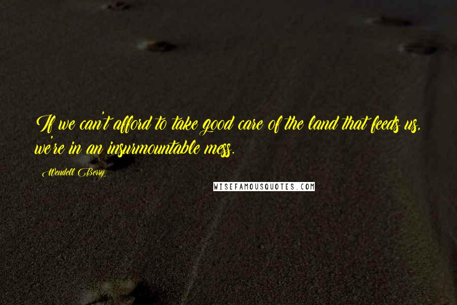 Wendell Berry Quotes: If we can't afford to take good care of the land that feeds us, we're in an insurmountable mess.