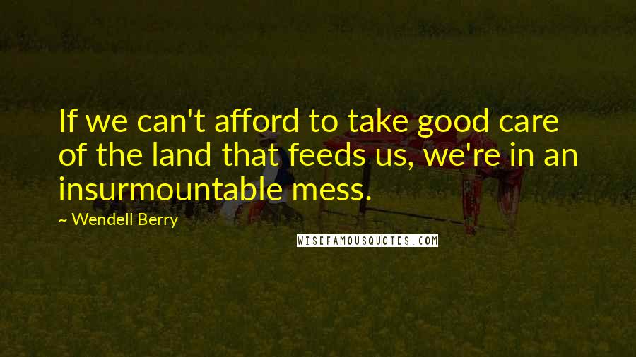 Wendell Berry Quotes: If we can't afford to take good care of the land that feeds us, we're in an insurmountable mess.