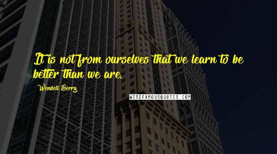 Wendell Berry Quotes: It is not from ourselves that we learn to be better than we are.