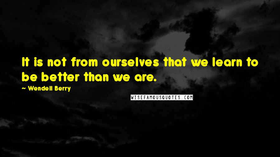 Wendell Berry Quotes: It is not from ourselves that we learn to be better than we are.