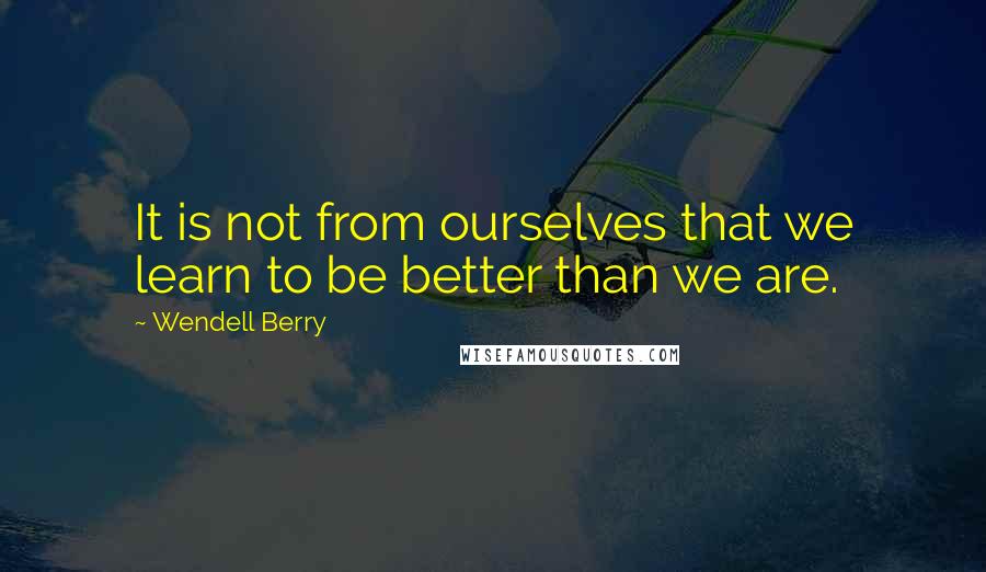 Wendell Berry Quotes: It is not from ourselves that we learn to be better than we are.