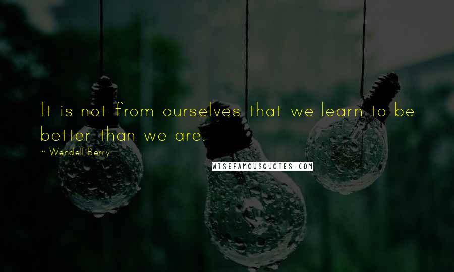 Wendell Berry Quotes: It is not from ourselves that we learn to be better than we are.