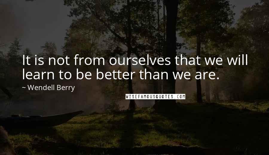 Wendell Berry Quotes: It is not from ourselves that we will learn to be better than we are.