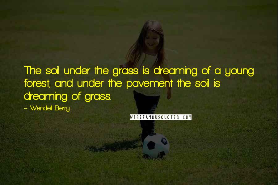 Wendell Berry Quotes: The soil under the grass is dreaming of a young forest, and under the pavement the soil is dreaming of grass.