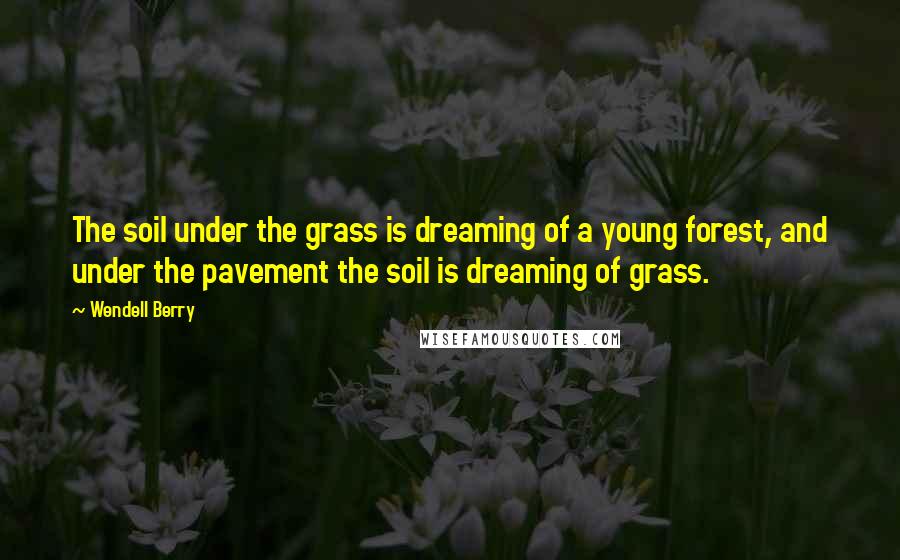 Wendell Berry Quotes: The soil under the grass is dreaming of a young forest, and under the pavement the soil is dreaming of grass.