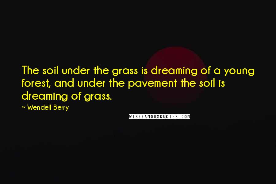 Wendell Berry Quotes: The soil under the grass is dreaming of a young forest, and under the pavement the soil is dreaming of grass.