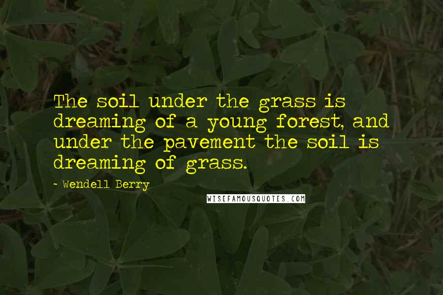 Wendell Berry Quotes: The soil under the grass is dreaming of a young forest, and under the pavement the soil is dreaming of grass.