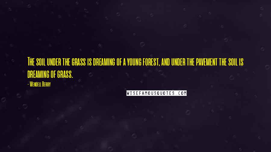 Wendell Berry Quotes: The soil under the grass is dreaming of a young forest, and under the pavement the soil is dreaming of grass.