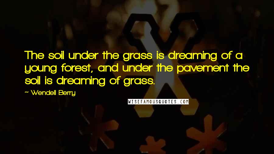 Wendell Berry Quotes: The soil under the grass is dreaming of a young forest, and under the pavement the soil is dreaming of grass.