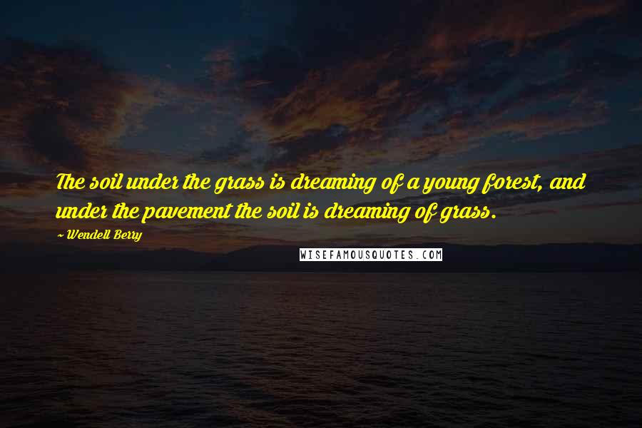 Wendell Berry Quotes: The soil under the grass is dreaming of a young forest, and under the pavement the soil is dreaming of grass.